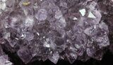 Purple Amethyst Geode - Uruguay #66712-3